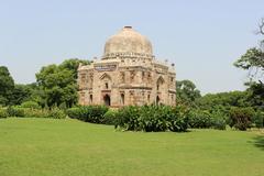 sunlight filtering through trees in Lodhi Garden in New Delhi