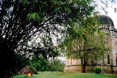 Garden around Sish Gumbad in Delhi, India