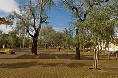 general view of Alameda de Hércules in Seville