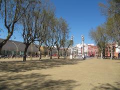 Alameda de Hércules filled with people in March 2011