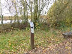 Birdwatchers observing birds at London Wetland Centre