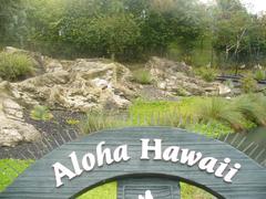 Aloha Hawaii sign with tropical background