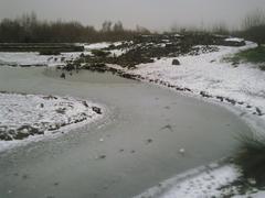 Tundra at the London Wetland Centre