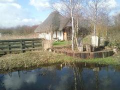 Wetland Living at the London Wetland Centre