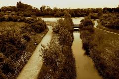 WWT London Wetland Centre sepia