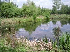 A quiet corner of the London Wetland Centre