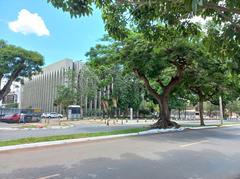 Dom Bosco Sanctuary in Brasília