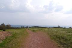 A junction of paths on Walton Hill