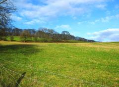 A view on the Clent Hills, near Clent