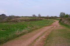 Bridleway towards the summit of Walton Hill