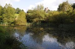 Castle Pond with clear skies and green surroundings