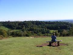 Clent Bench