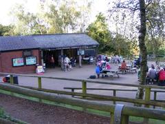 Clent Cafe building surrounded by trees in Clent, Worcestershire