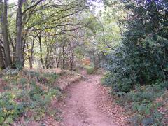 Clent Footpath