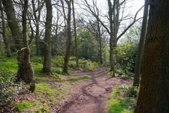 A footpath in woodland at Nag Hill