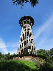 Sauvabelin Tower amidst trees in daylight