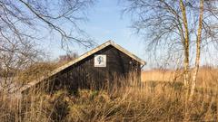 Boat house of state forestry in De Deelen low moorland marshes