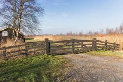 walks through the low moorland marshes Boat house of state forestry