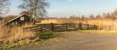 boat house in low moorland marshes De Deelen