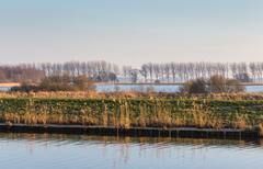 View of the Heafeart in the low moorland marshes of de Deelen