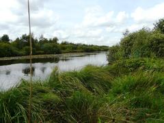 Beautiful lake and wetlands in De Deelen nature reserve, Friesland