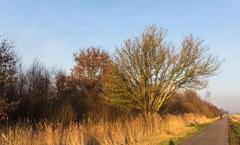 walks through low moorland marshes with view on Hooivaartsweg