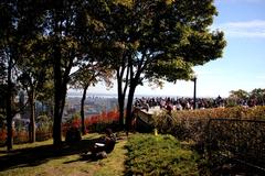 Montreal skyline from Mont-Royal in autumn