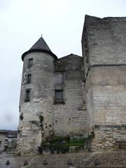 Château de Cognac in Charente, France