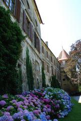 Schloss Hollenegg Nordfront with flowers