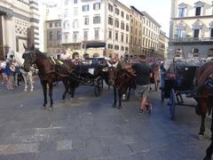 Horses at Piazza del Duomo in Florence