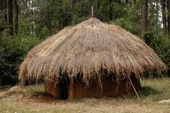 Husband's hut in Kisii village, Kenya