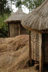 Kuria granaries at Bomas of Kenya