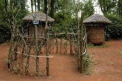 Cattle shade in Lukya village at Bomas of Kenya near Nairobi