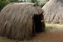 Granary for dried vegetables in Mijikenda village