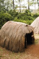 Granary for dried vegetables in Mijikenda village