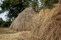 Traditional Mijikenda village at Bomas of Kenya