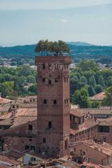 Torre Guinigi with trees on top in Italy