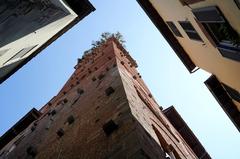 Guinigi Tower as seen from below