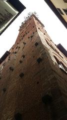 Guinigi Tower in Lucca, Italy