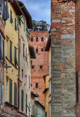 La Torre alberata, an Italian cultural heritage monument