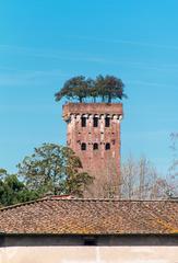 Guinigi Tower viewed from the wall in Lucca, Italy