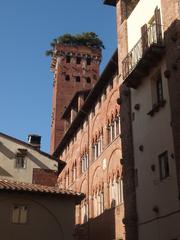 Torre Guinigi in Lucca, Italy