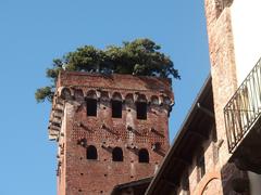 Panoramic view of Torre Guinigi in Lucca, Tuscany, Italy