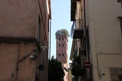 Guinigi Tower in Lucca Italy