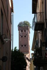 Lucca Torre Guinigi