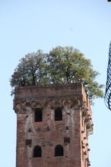 Torre Guinigi in Lucca