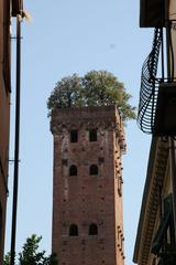 Torre Guinigi in Lucca