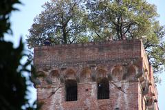 View of Torre Guinigi in Lucca with its iconic rooftop garden