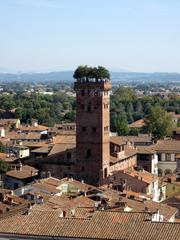 Torre Guinigi in Lucca viewed from the Torre dell'Orologio