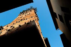 Guinigi Tower in Lucca with trees on its top